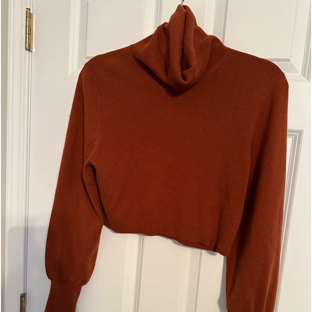 Cropped Wilfred turtleneck